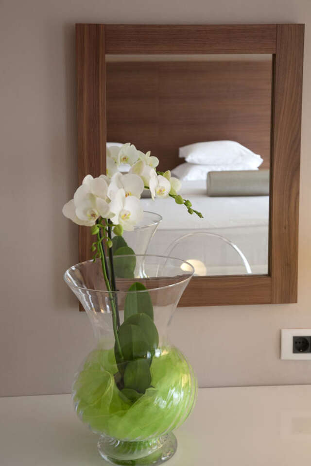 Отель Hotel Aurel Подгорица-36